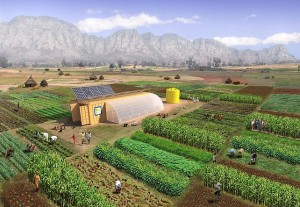 farm solar sustainable