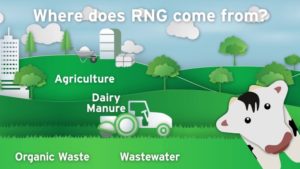 Renewable Natural Gas comes from organic wastes